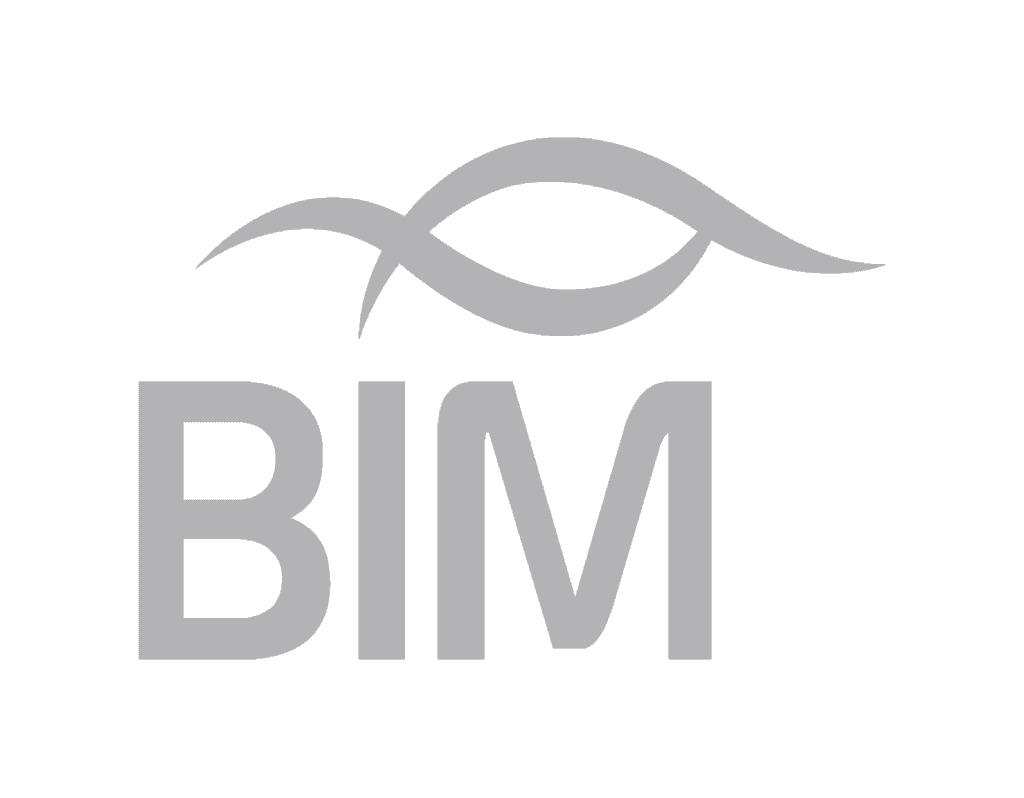 BIM_Logo_grey